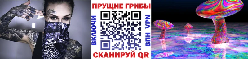 Псилоцибиновые грибы GOLDEN TEACHER Малоархангельск