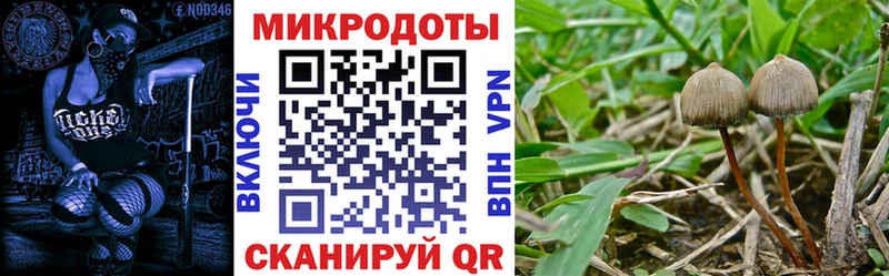 как найти закладки  Малоархангельск  маркетплейс как зайти  Псилоцибиновые грибы Cubensis 